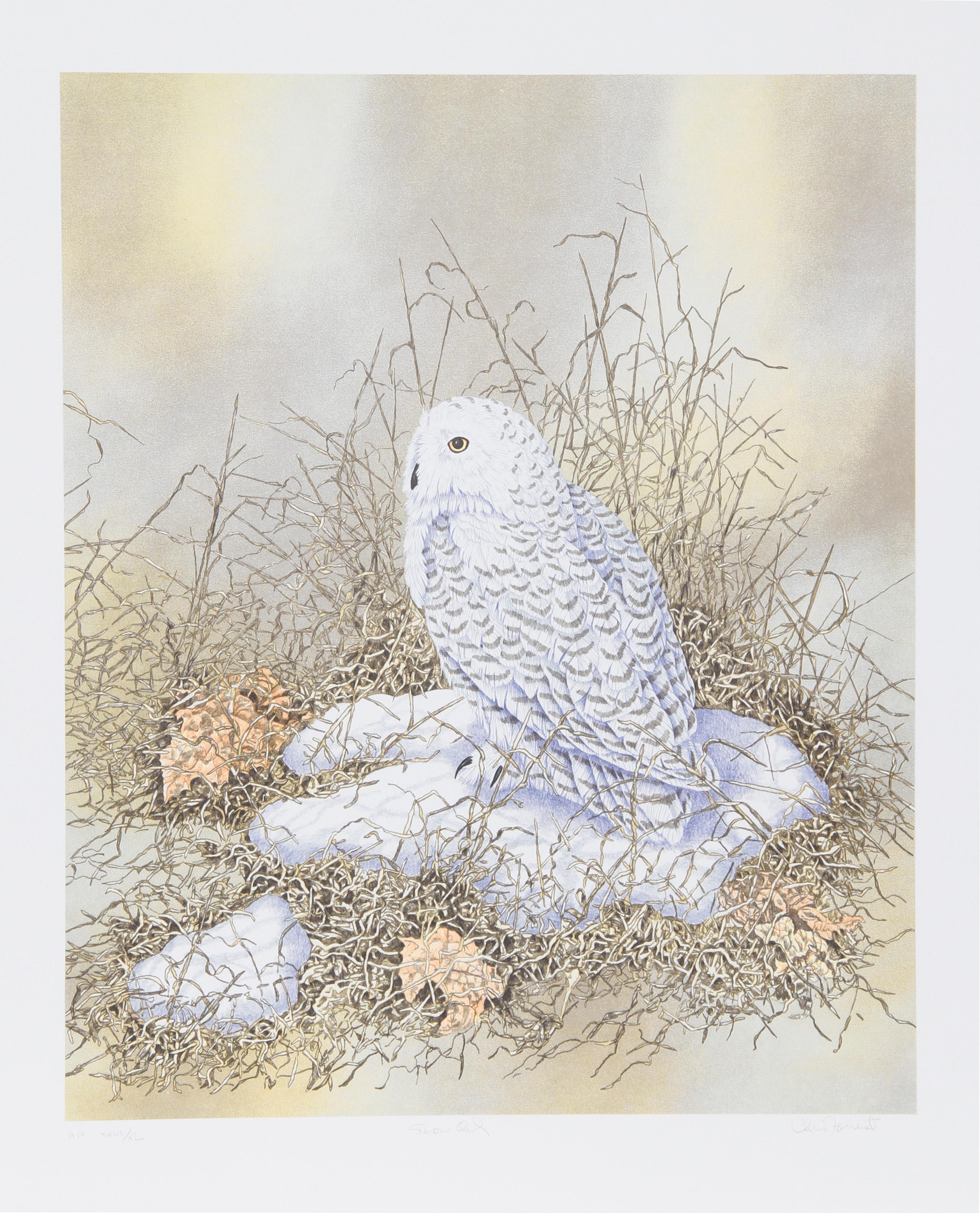 Snow Owl, American Realist Lithograph by Chris Forrest