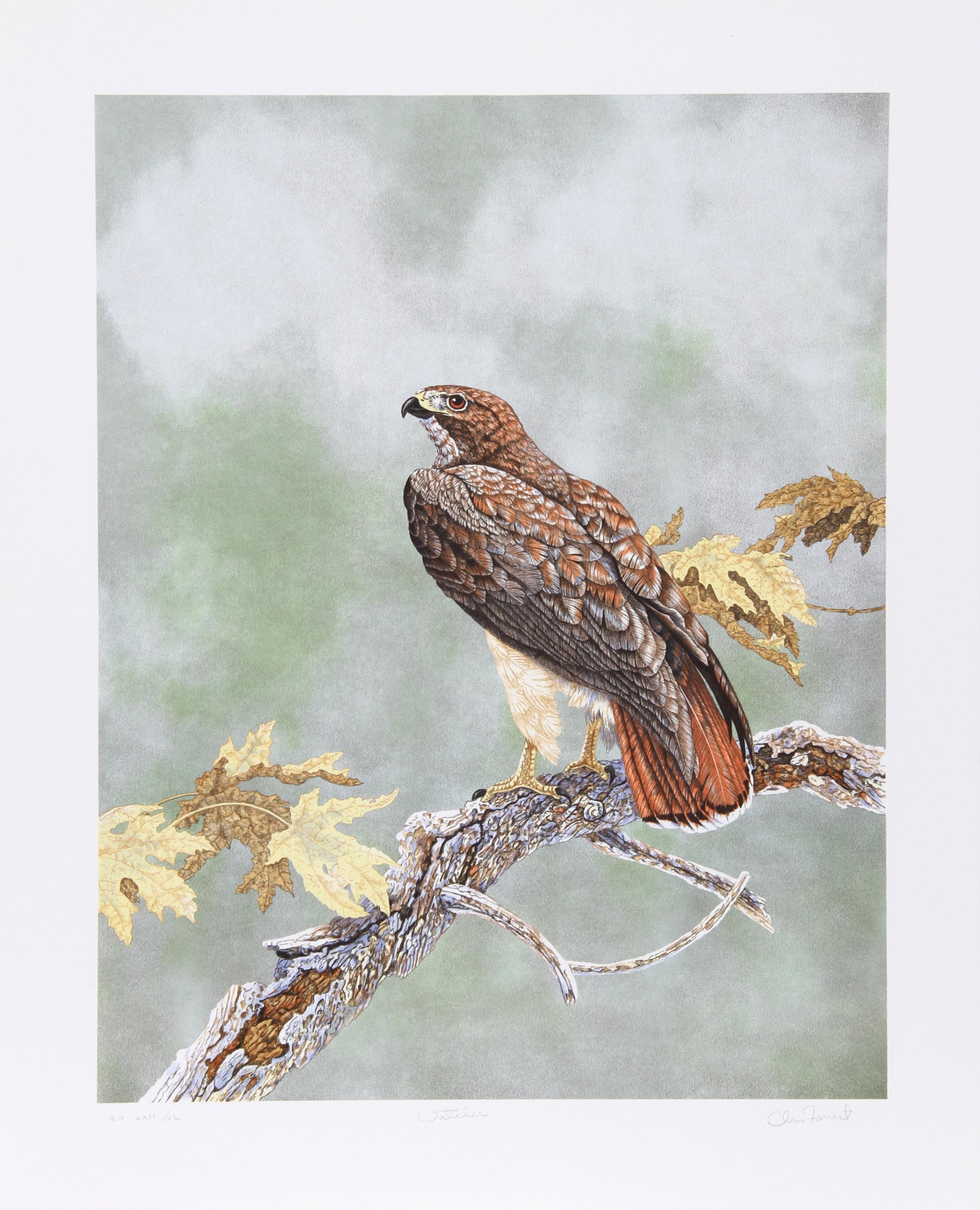 Watcher, American Realist Lithograph by Chris Forrest