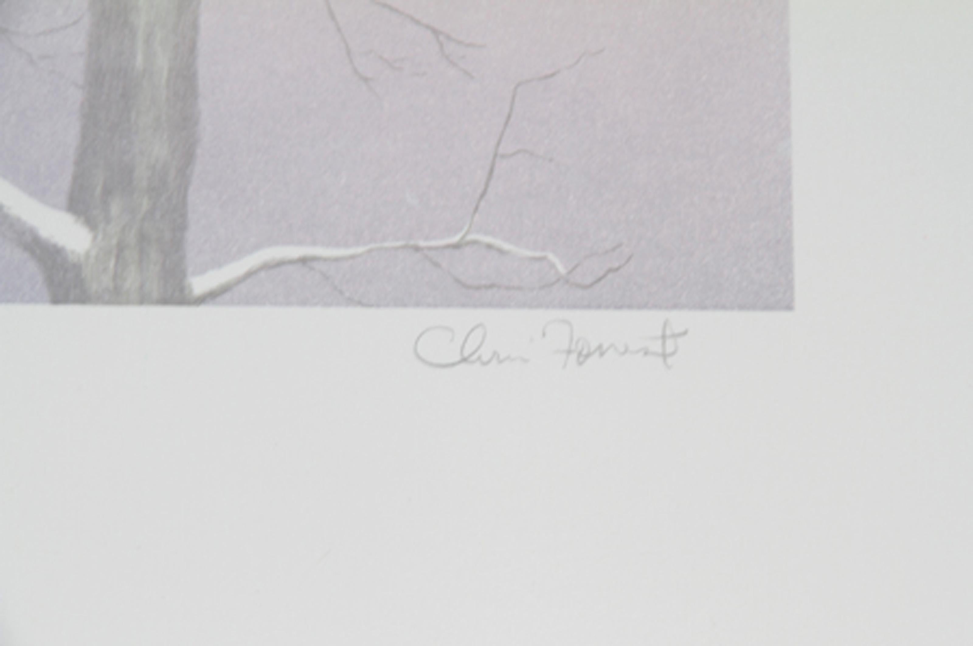 Wood Ducks, amerikanische realistische Lithographie von Chris Forrest im Angebot 1