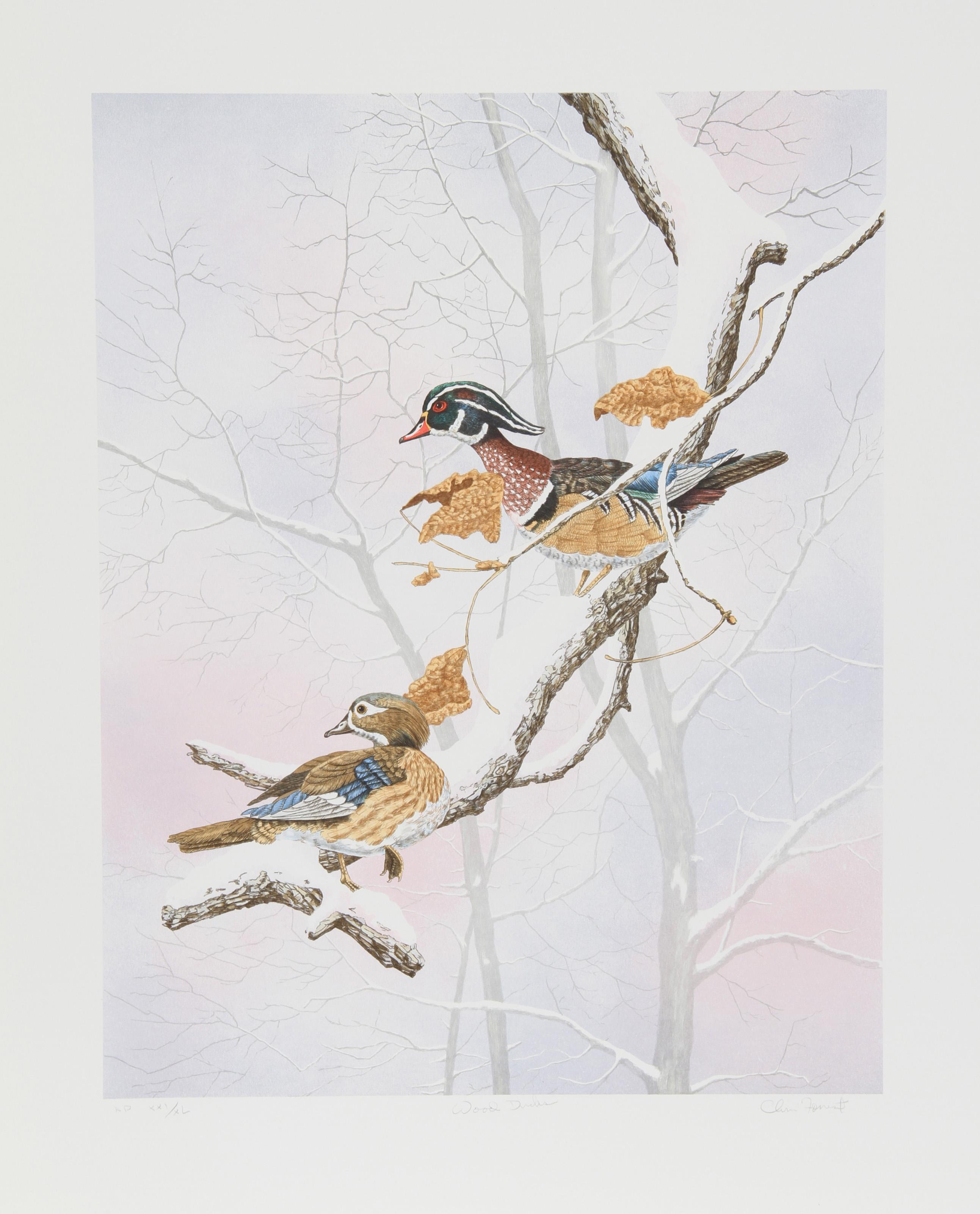 Anatre di Wood, litografia realista americana di Chris Forrest