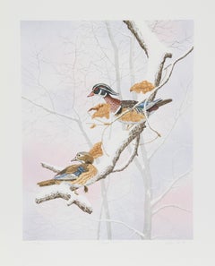 Anatre di Wood, litografia realista americana di Chris Forrest