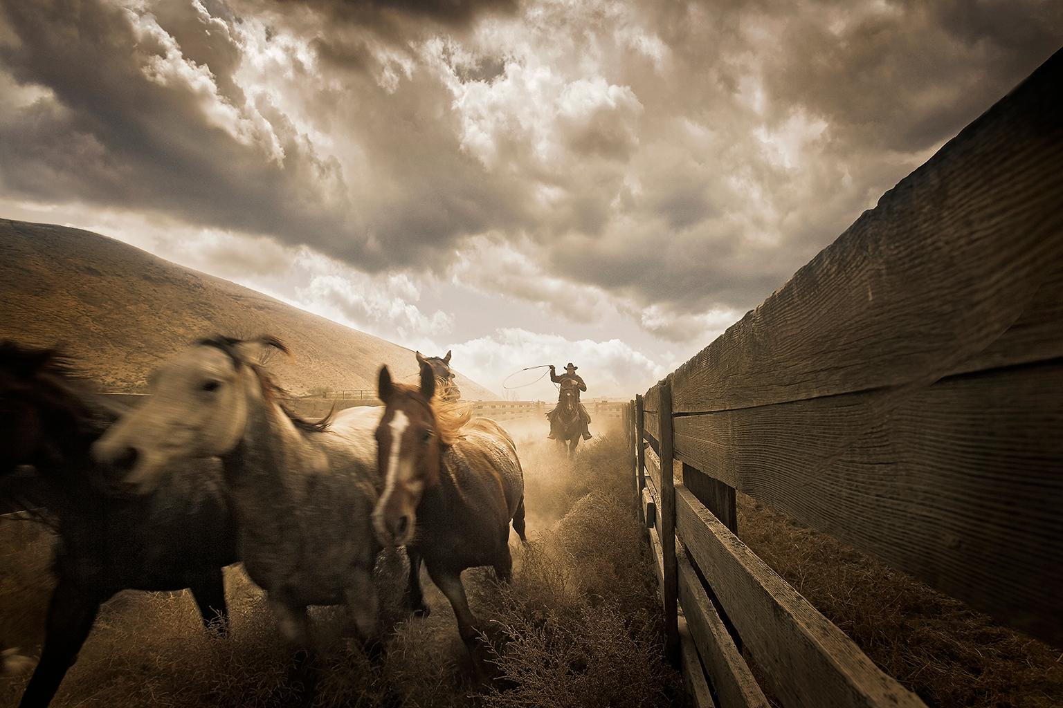 Cowboys Nr. 2 (Schwarz), Color Photograph, von Chris Gordaneer