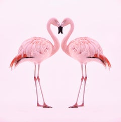 Flamingo Nr. 2