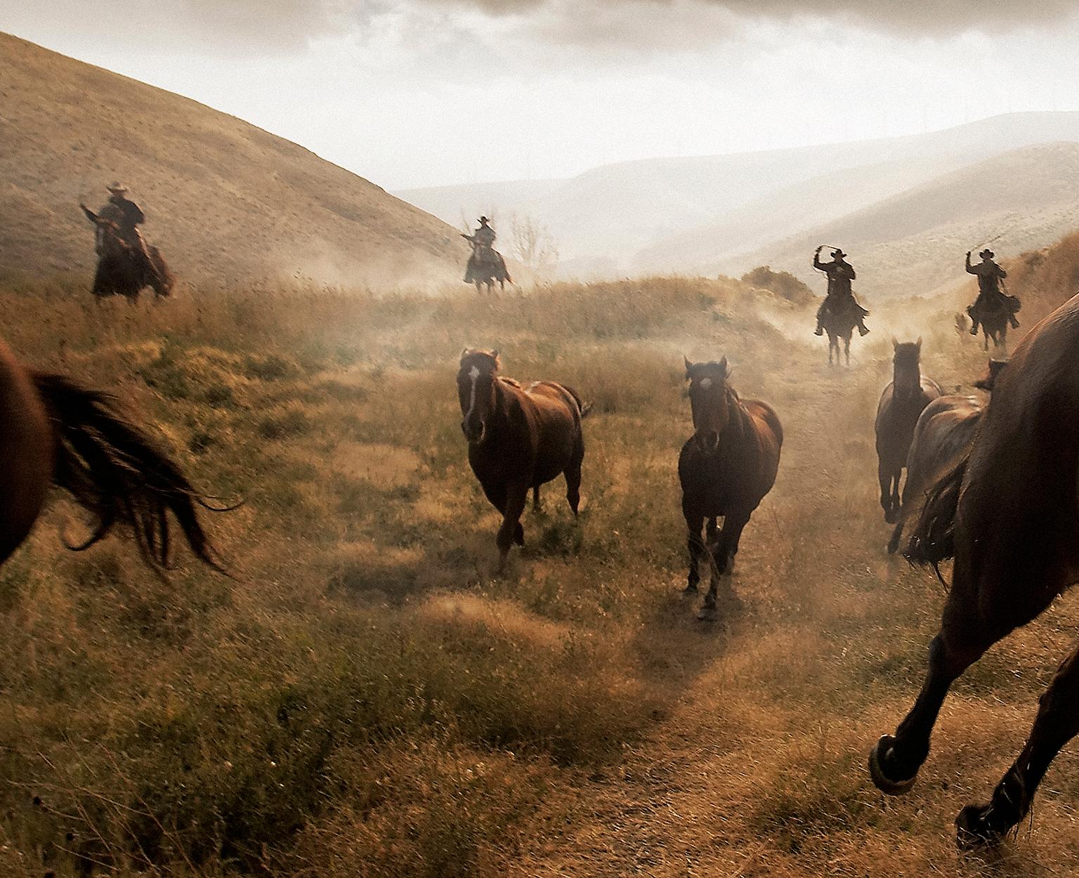 Pferde, Wala – Photograph von Chris Gordaneer