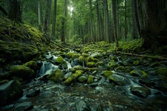 Olympic National Park No. 1