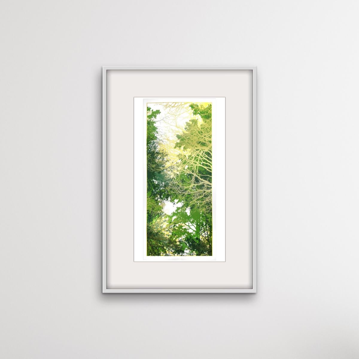 Gilded Forest, Chris Keegan, Landscape Art, Contemporary Art, Handmade Print For Sale 1
