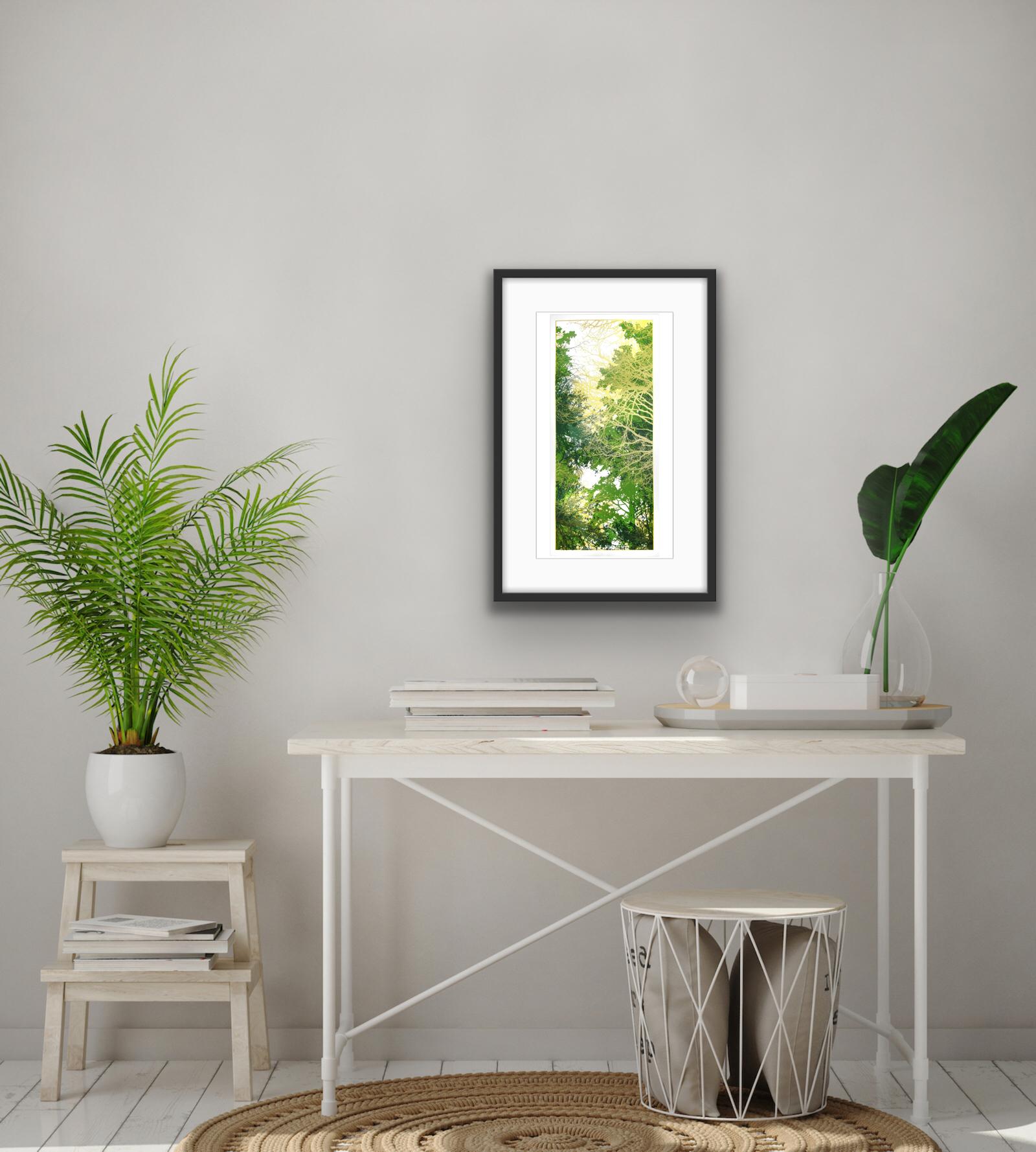 Gilded Forest, Chris Keegan, Landscape Art, Contemporary Art, Handmade Print For Sale 6