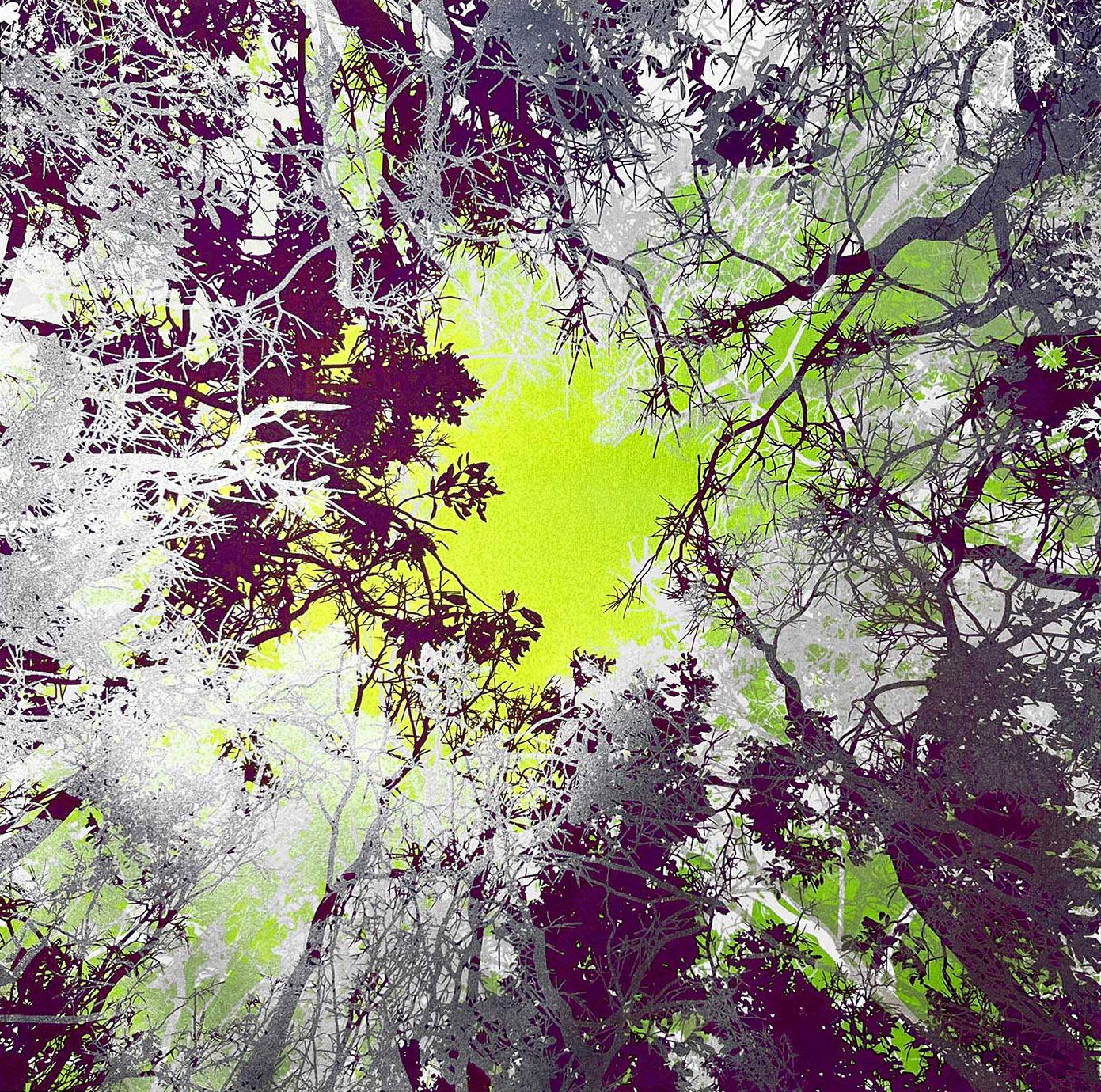 INTO THE WILD, Limited edition print, Forest, Neon, Green, B&W, Tree, Metallic - Contemporary Print by Chris Keegan