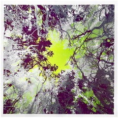 INTO THE WILD, Limited edition print, Forest, Neon, Green, B&W, Tree, Metallic