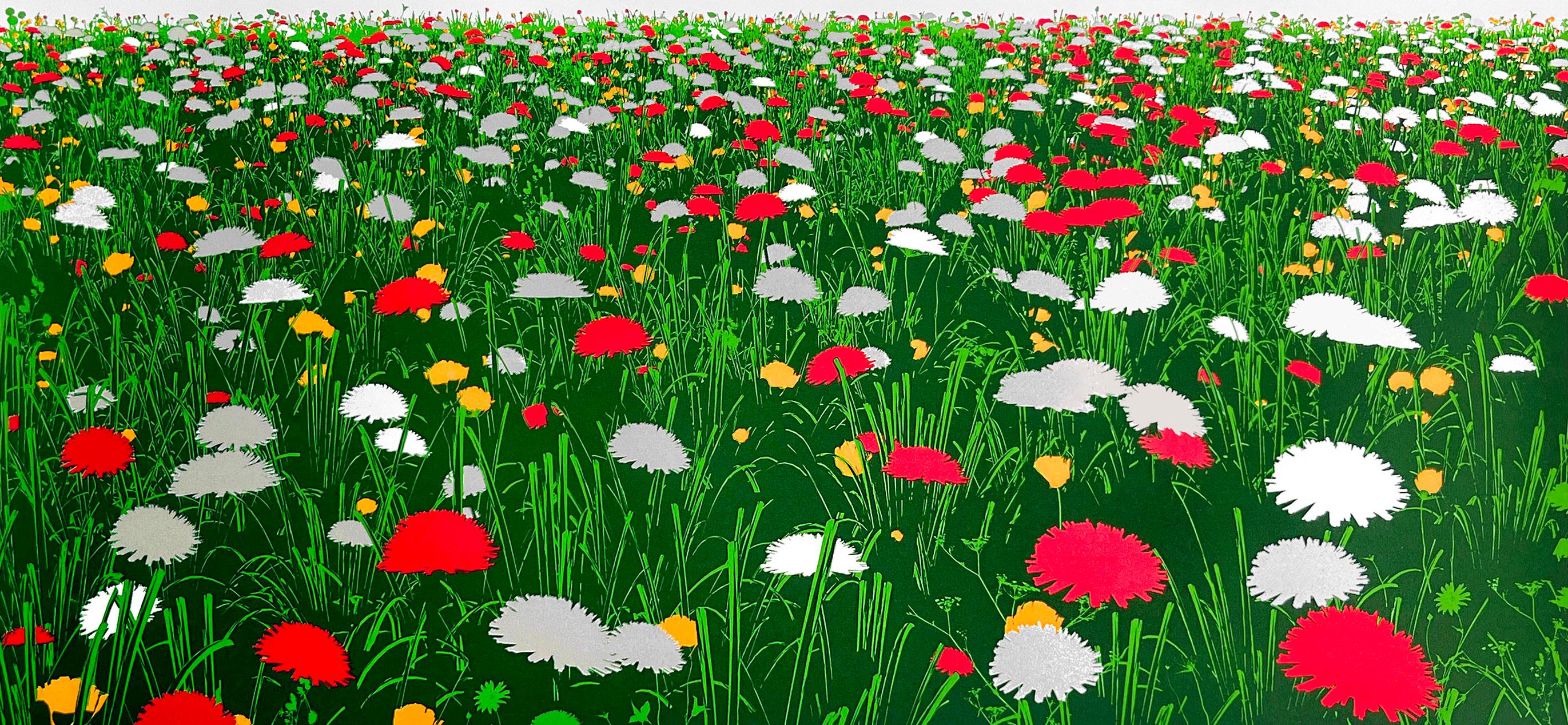 Pradera, Edición Limitada, Arte Contemporáneo