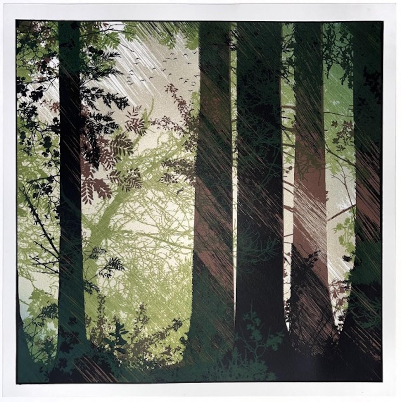 Shafts of Light, Limited Edition Woodland Print, Japanese Style Screen Print For Sale 1