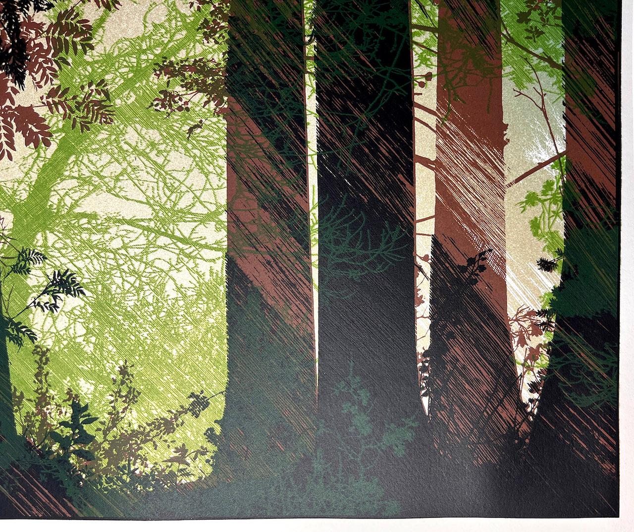 Shafts of Light, Limited Edition Woodland Print, Japanese Style Screen Print For Sale 4