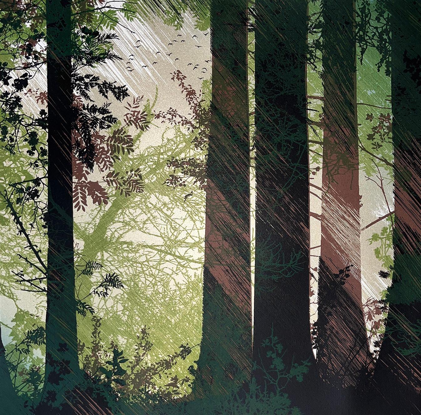 Chris Keegan Landscape Print - Shafts of Light, Limited Edition Woodland Print, Japanese Style Screen Print