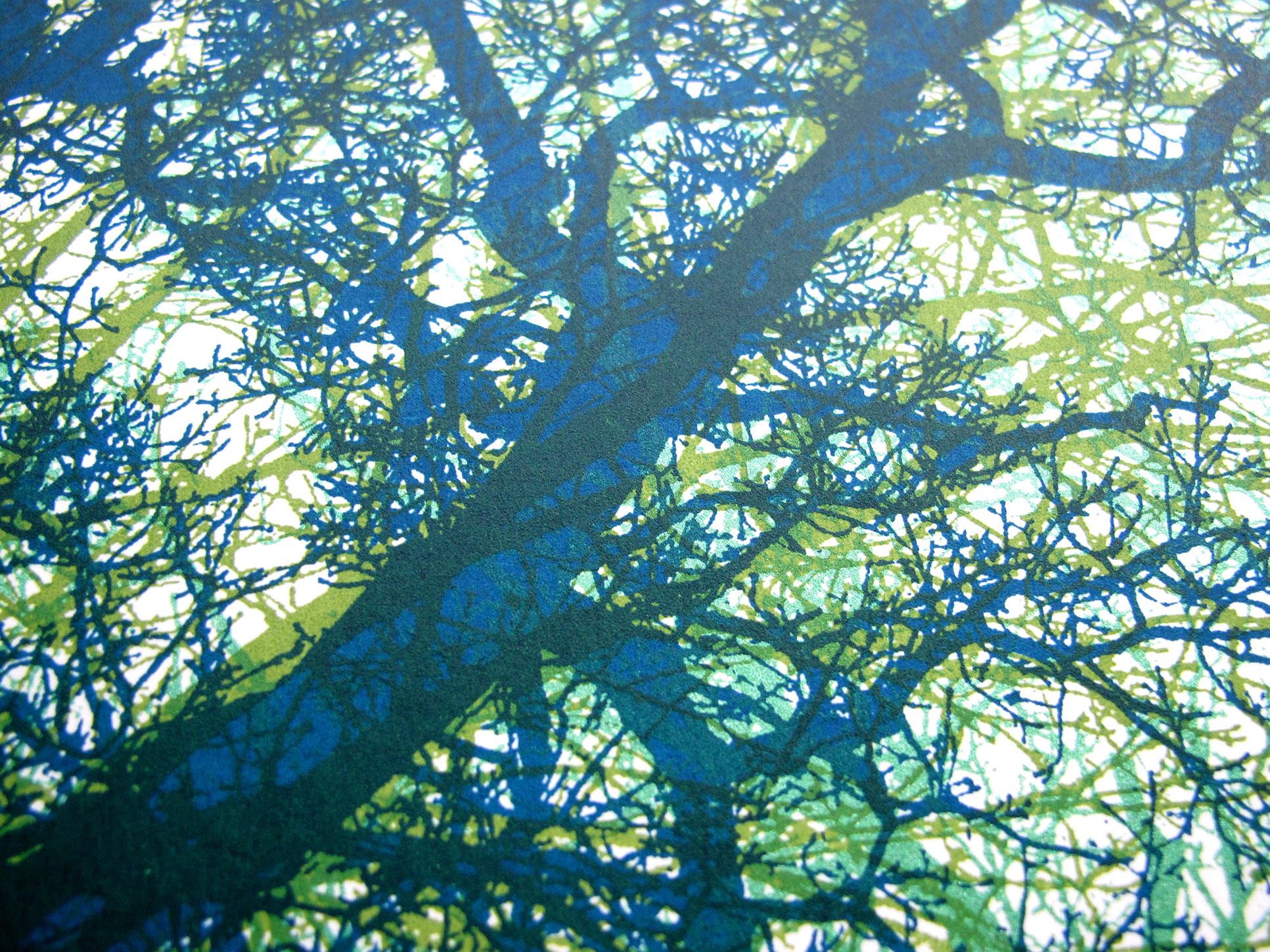 Wildwood, Chris Keegan, Edición limitada, Serigrafía a la venta en venta 3