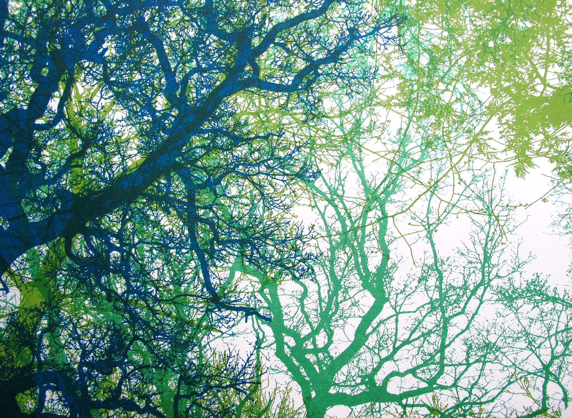 Wildwood, Chris Keegan, Edición limitada, Serigrafía a la venta en venta 5