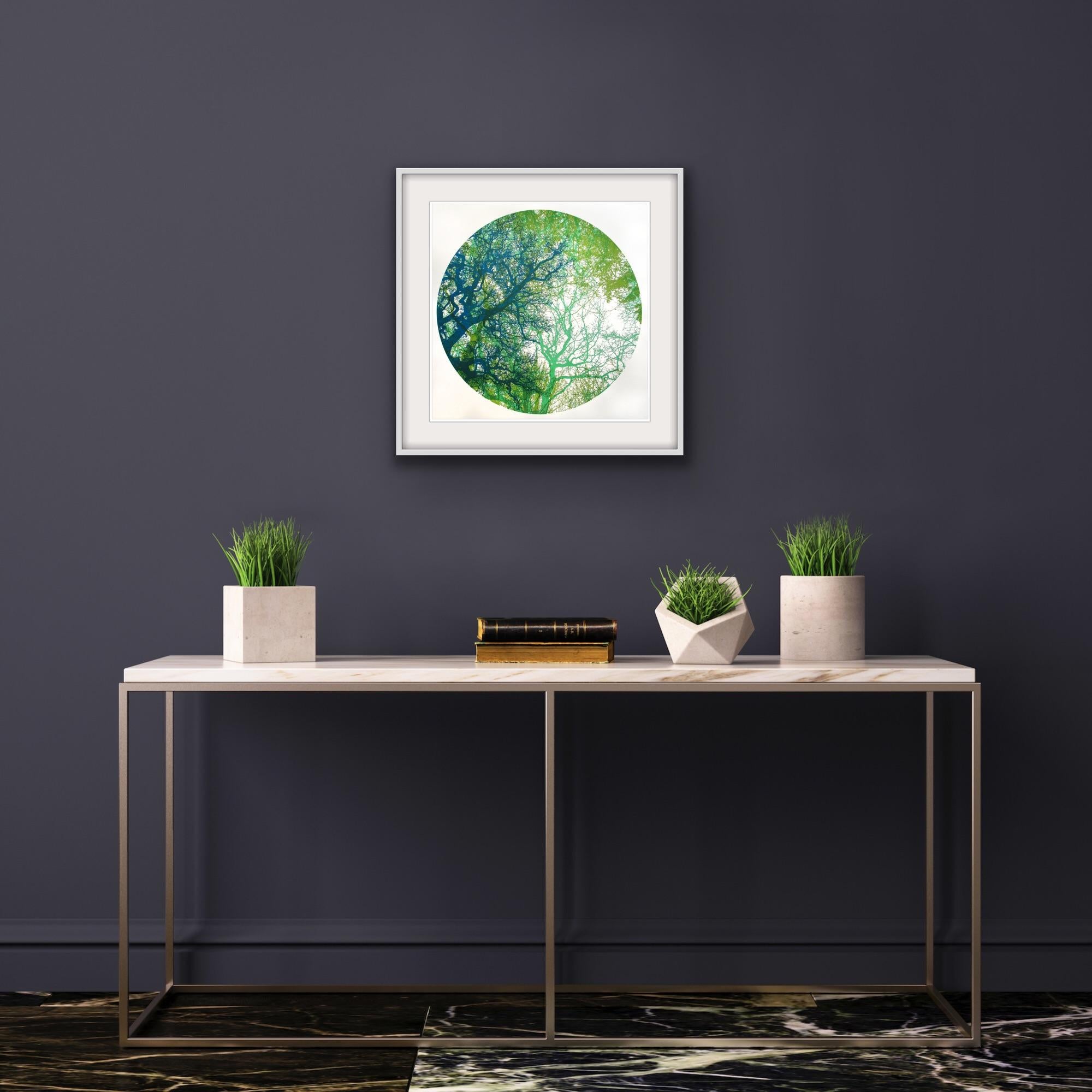 Wildwood, Chris Keegan, Edición limitada, Serigrafía a la venta en venta 8