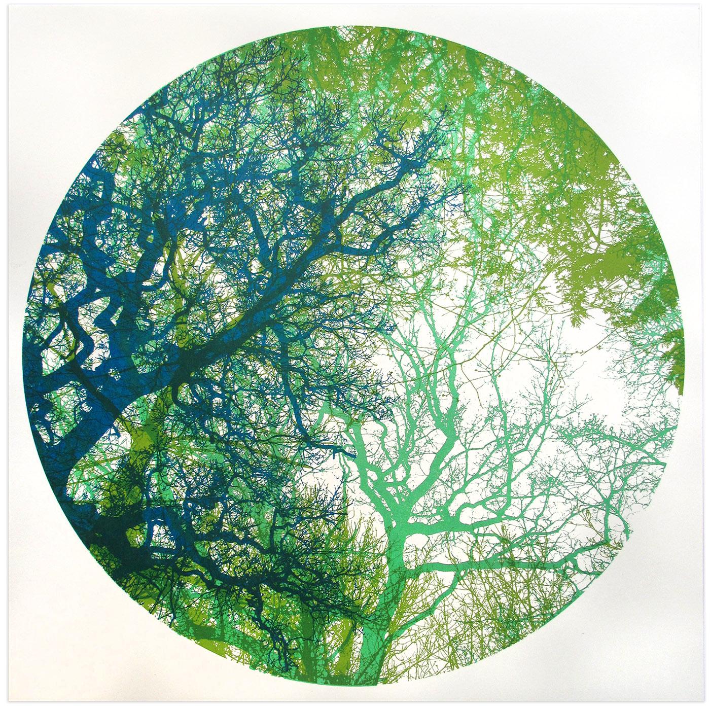 Wildwood de Chris Keegan [2022]
edición_limitada y firmada a mano por el artista 
Serigrafía
Edición número 50
Tamaño de la imagen: H:40 cm x A:40 cm
Tamaño completo de la obra sin enmarcar: A:38 cm x A:38 cm x P:0,1cm
Se vende sin enmarcar
Tenga en