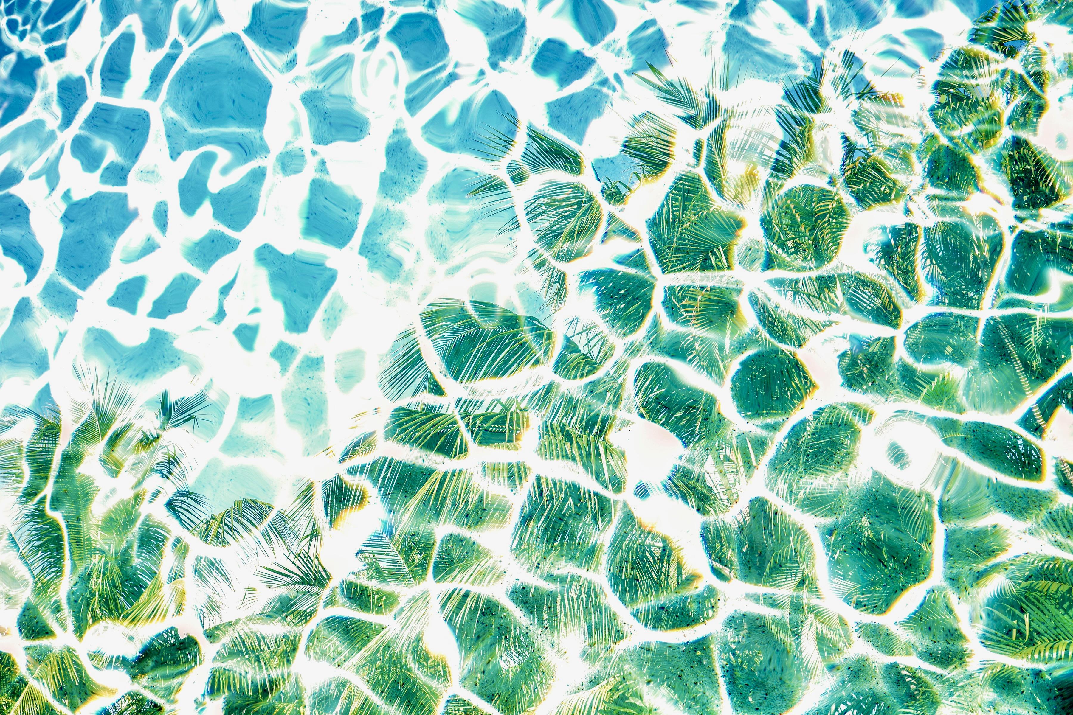 Palm Pool 3