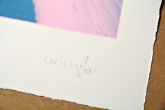 Chris Levine - EQUANIMITY_2022 20 Limited Queen Elizabeth II Photography Modern