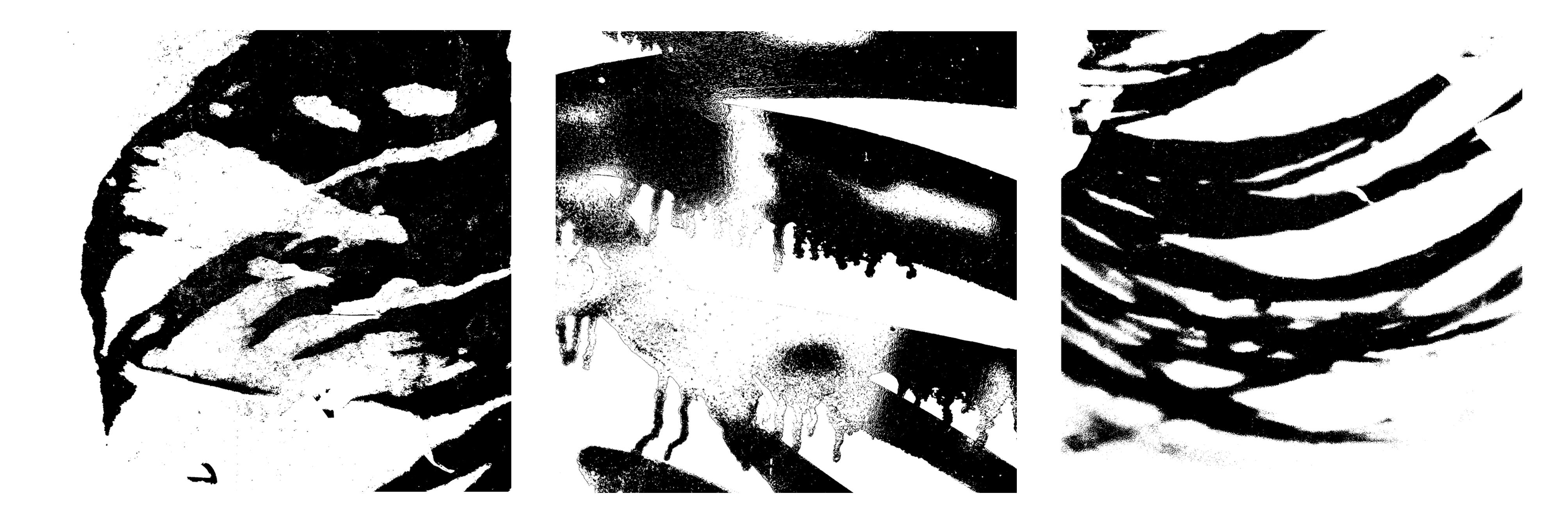 Chris MaGee Black and White Photograph – "Shadows Kept Alive No.16", signierter und nummerierter Giclée-Druck, Hahnemühle-Papier