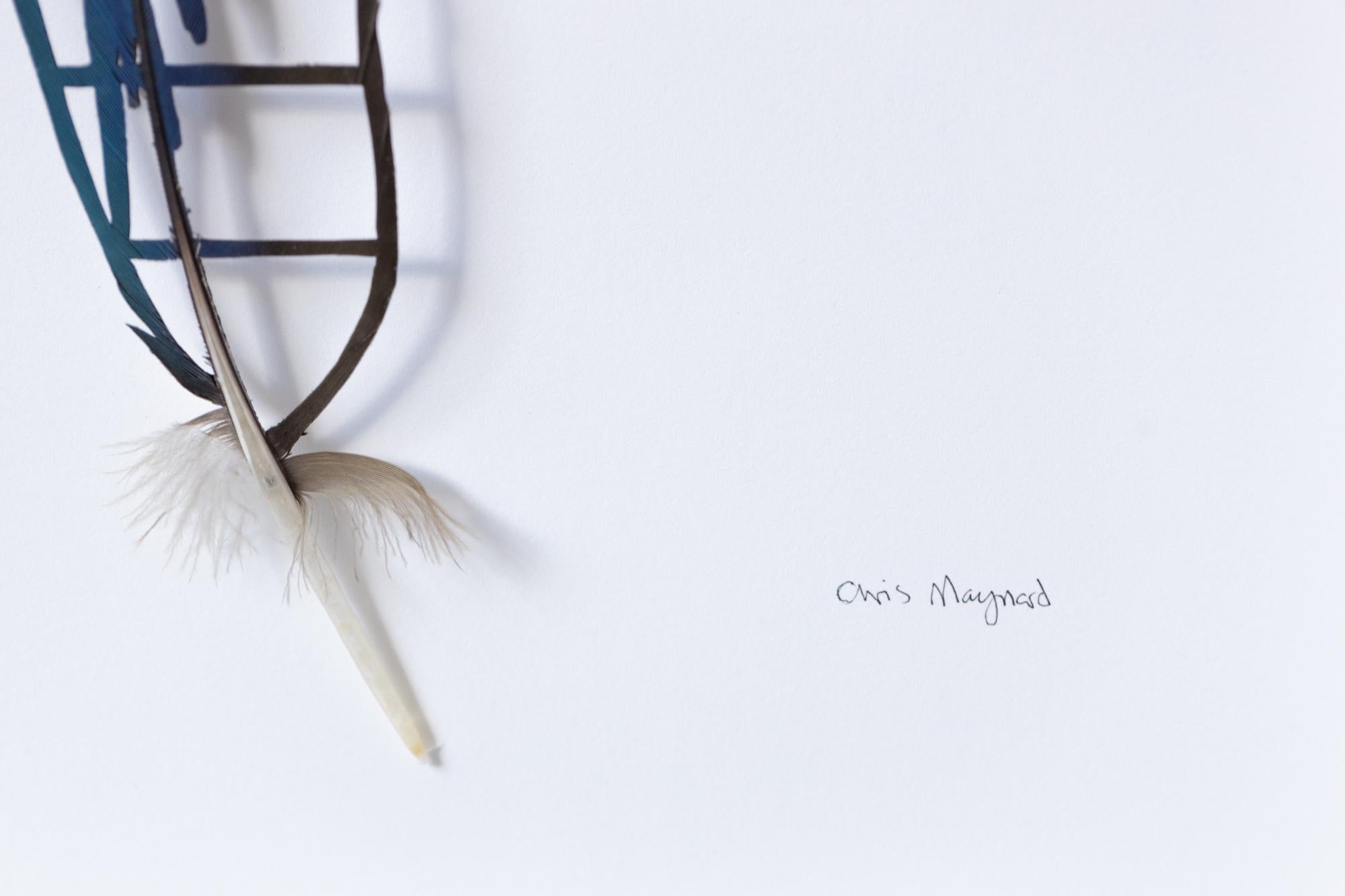 chris maynard feather art