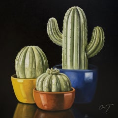 Ceramic Cacti - original still life realism contemporary artwork
