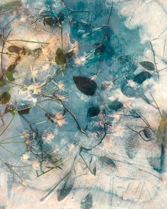 Jardin d'hiver n°10, 2023  Impression pigmentaire d'art de Chris Thomaidis, Toronto