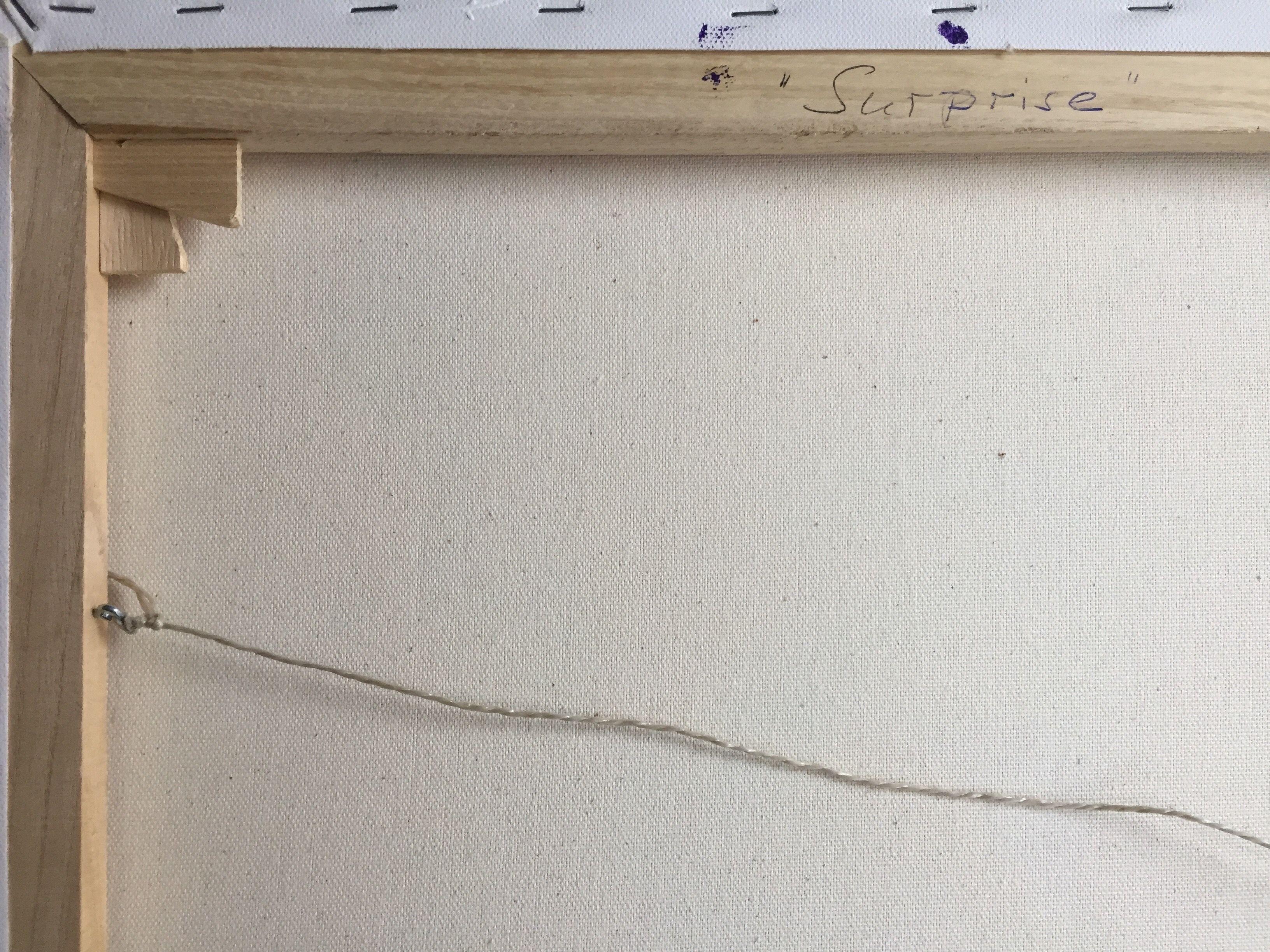 Surprise, Gemälde, Acryl auf Leinwand im Angebot 1