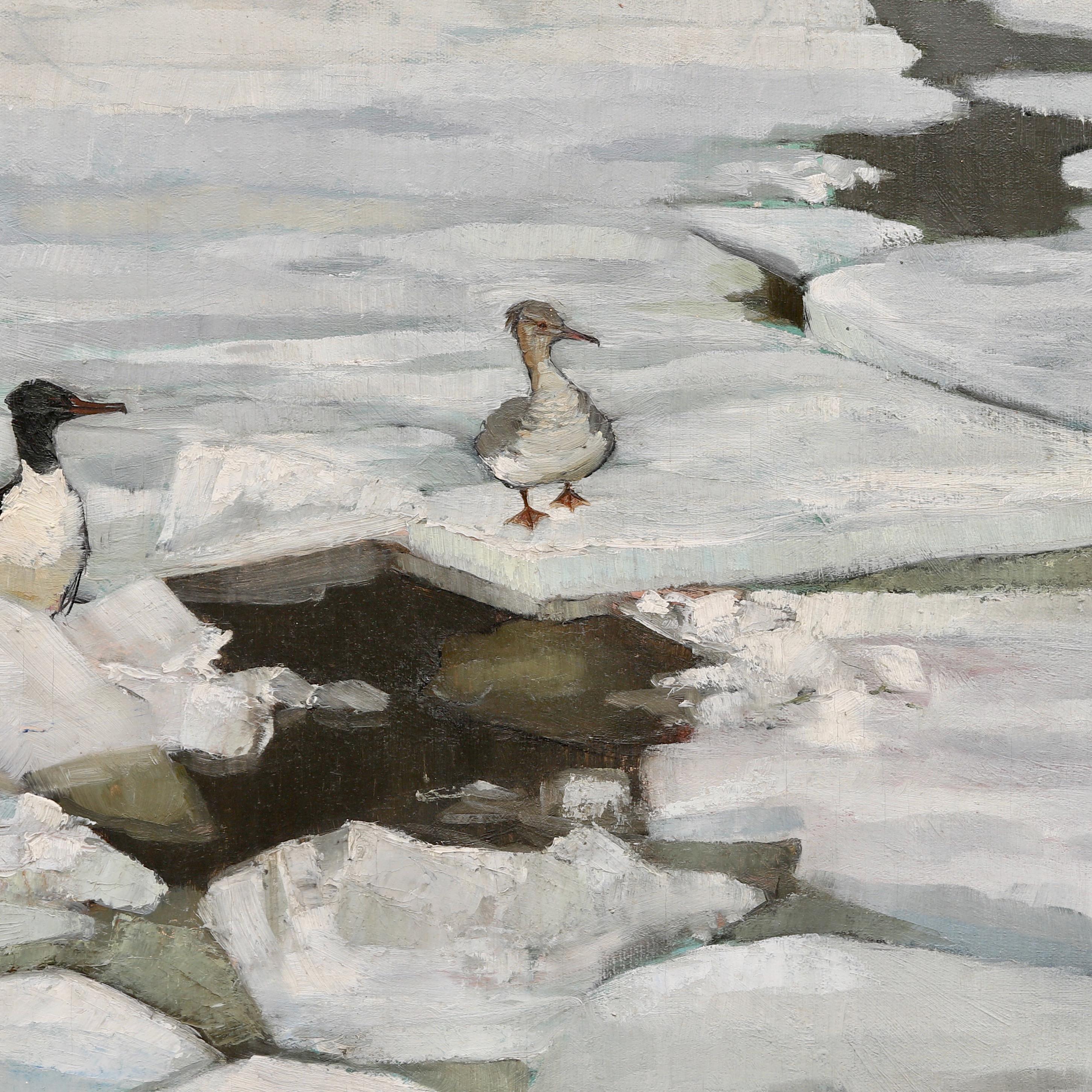 Goosander Birds On Ice Floes. Oil on Canvas 1918 - Naturalistic Painting by Christian Berg