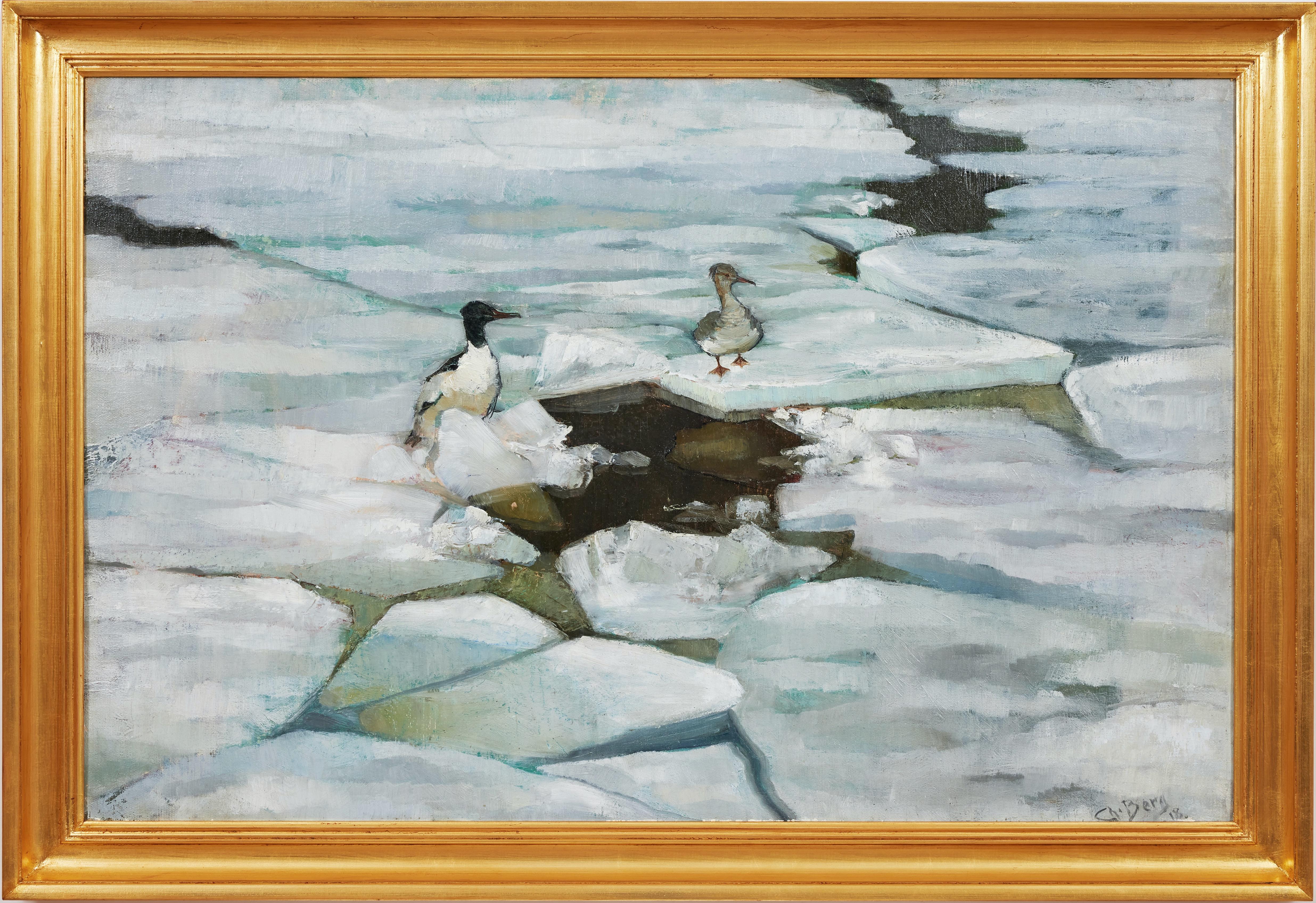 Goosander Birds On Ice Floes