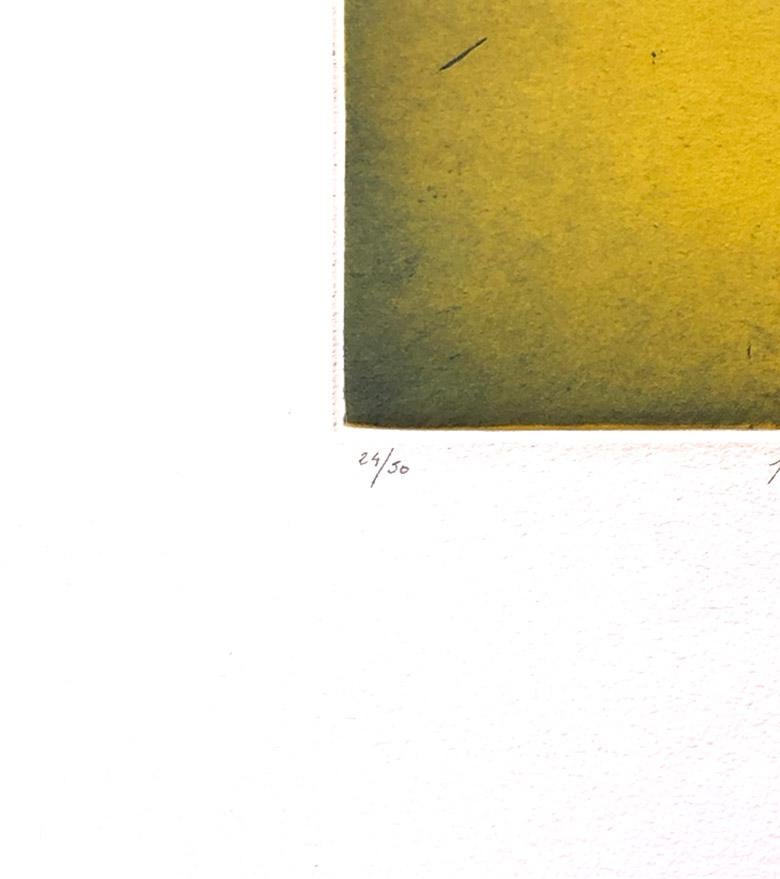 Paisaje Diario (Braun), Abstract Print, von Christian Bozon