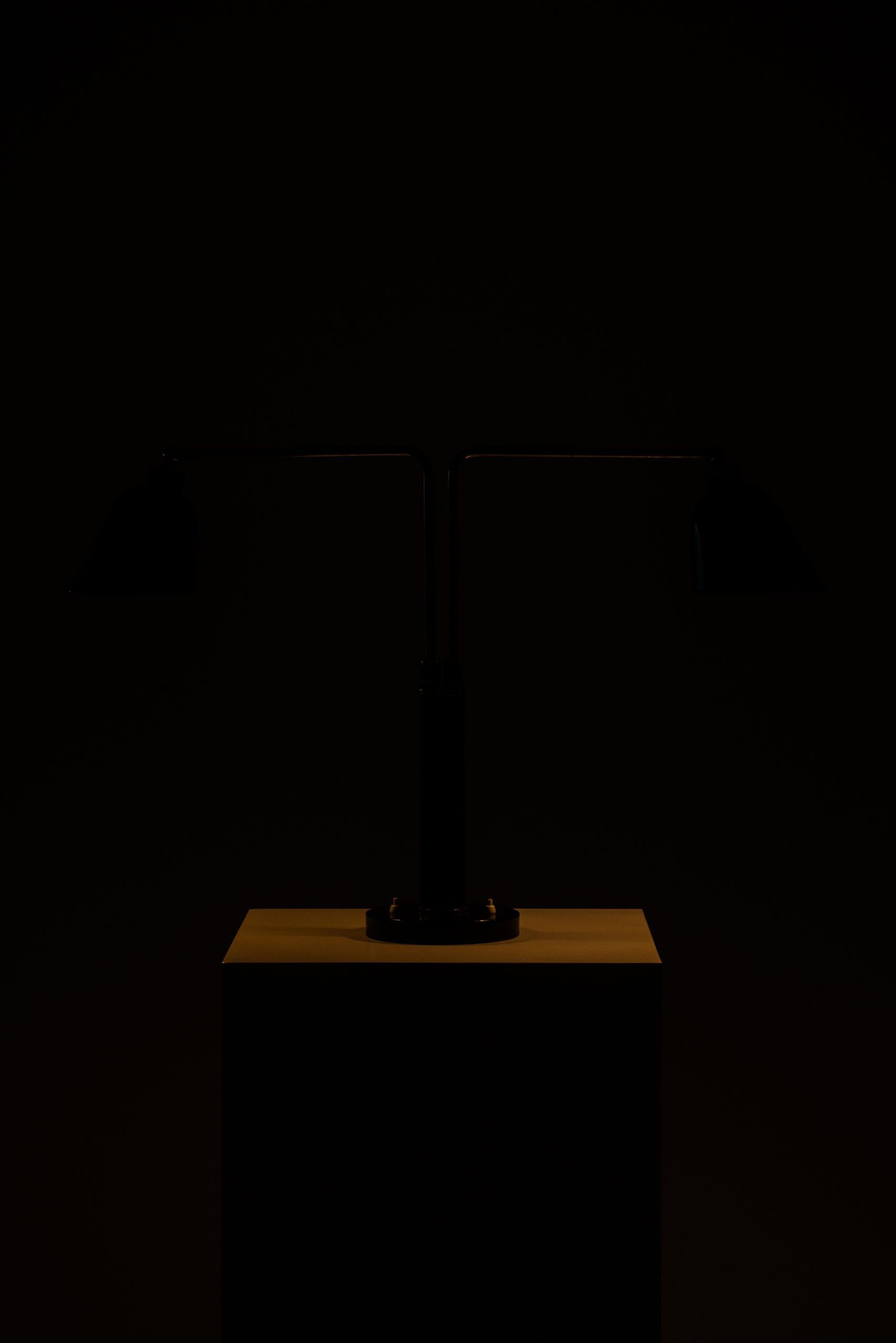 Christian Dell Double Table Lamp Produced by Bünte & Remmler in Germany 3