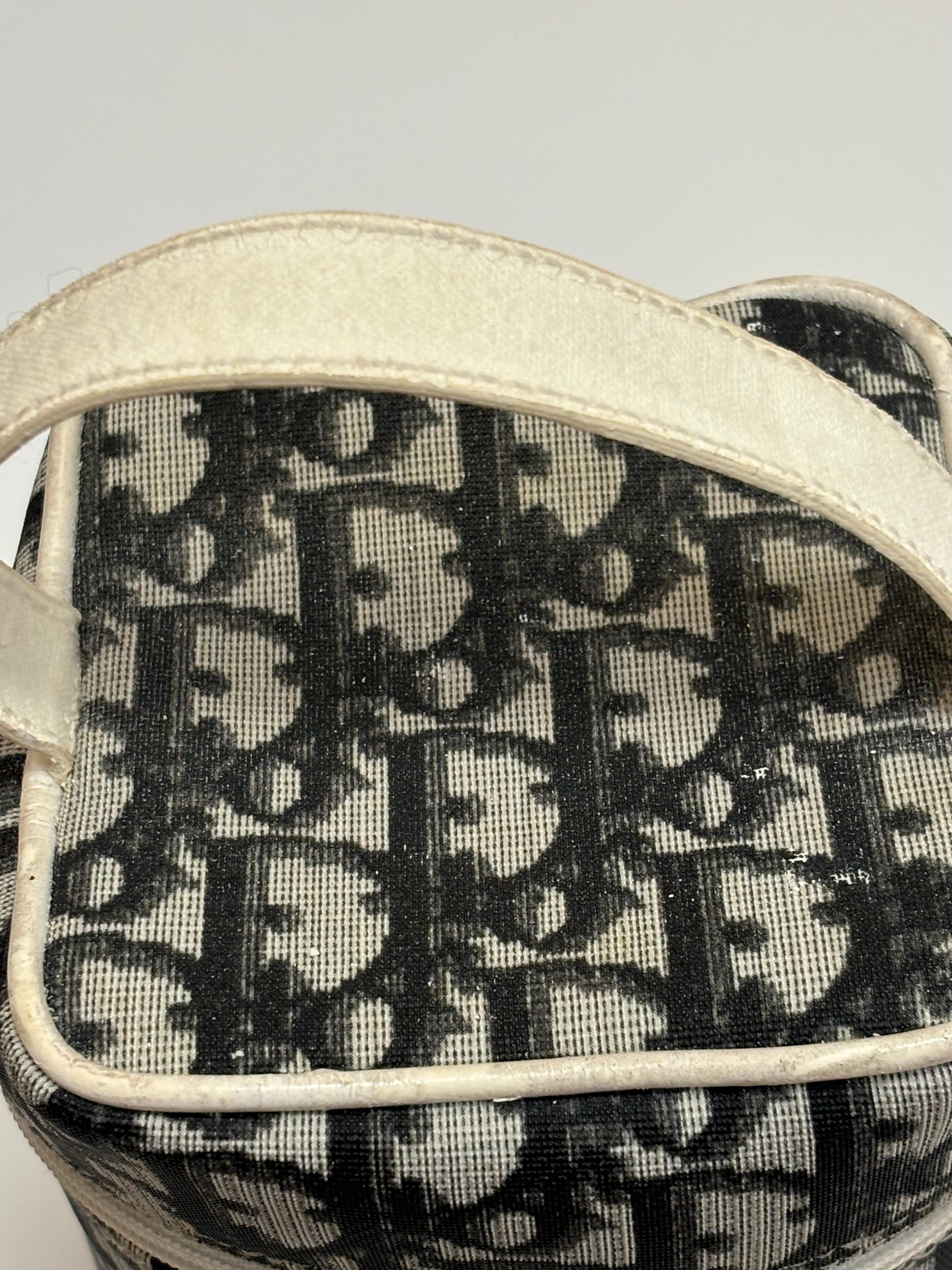 Women's Christian Dior 2 Rare Canvas/Leather Small Carrier For Sale
