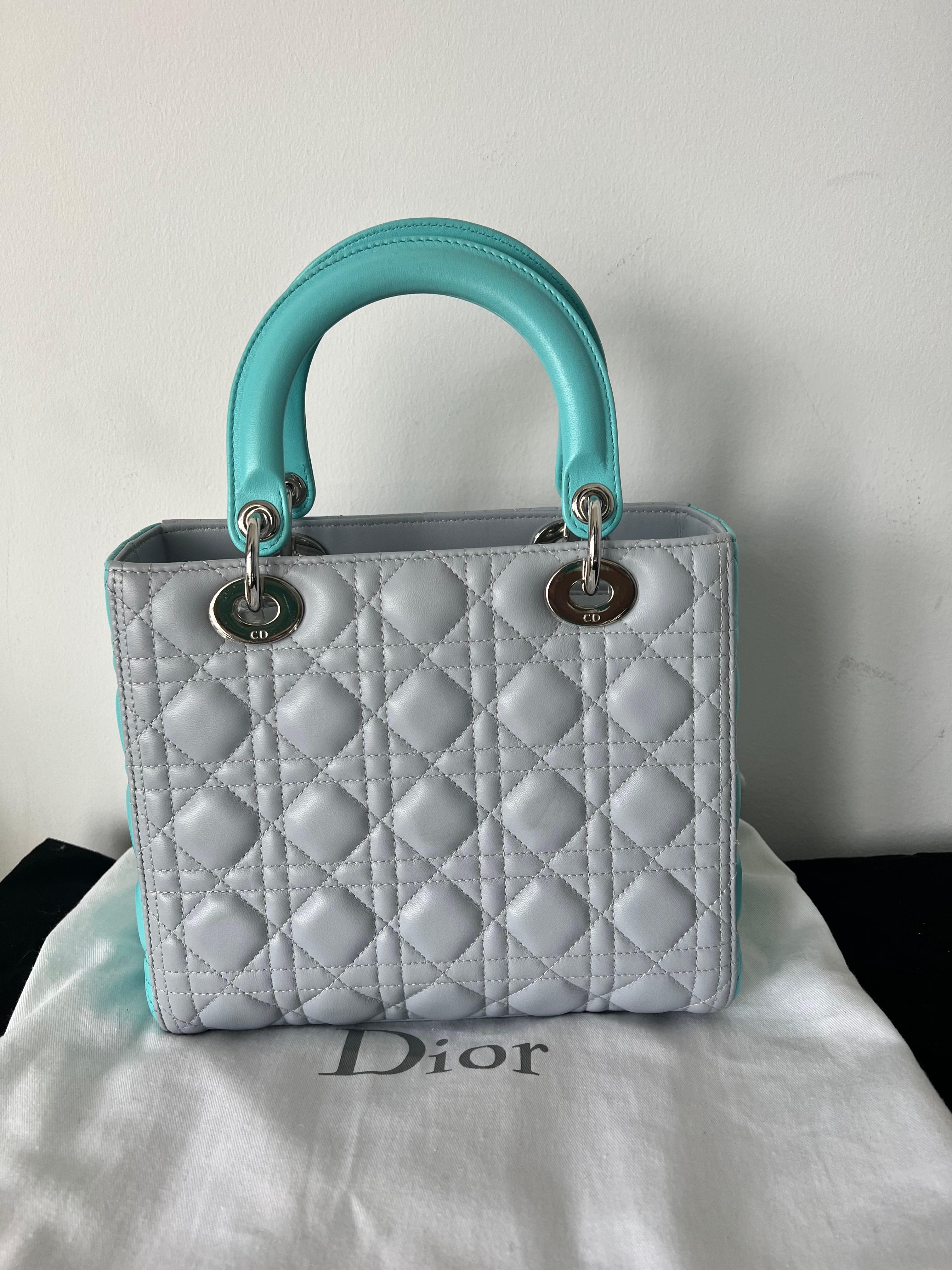Women's or Men's Christian Dior 2 tone lamb skin lady Dior bag