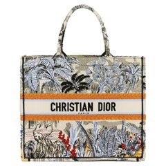 Christian Dior 2019 Large Embroidered Canvas Book Tote Bag