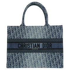 Christian Dior 2024 Blue Ombre Denim Oblique Jacquard Medium Book Tote Bag