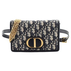 Christian Dior 30 Montaigne 2-in-1 Pouch Oblique Canvas at 1stDibs