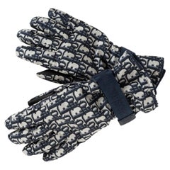 CHRISTIAN DIOR beige & navy nylon 2021 DIORALPS OBLIQUE SKI Gloves M