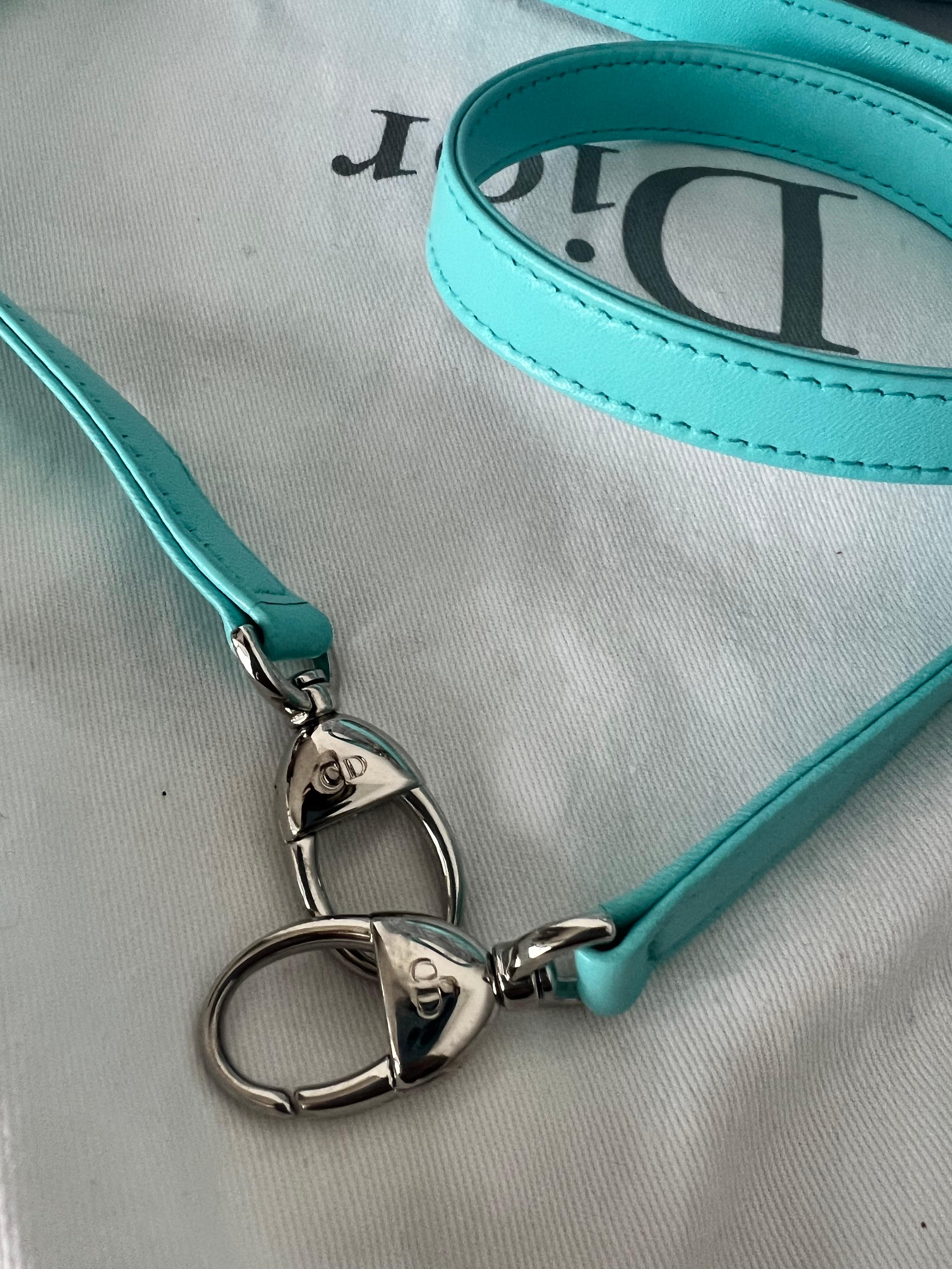 Christian Dior Bio-Farbe-Farbe  Lady Dior Tasche (Grau)