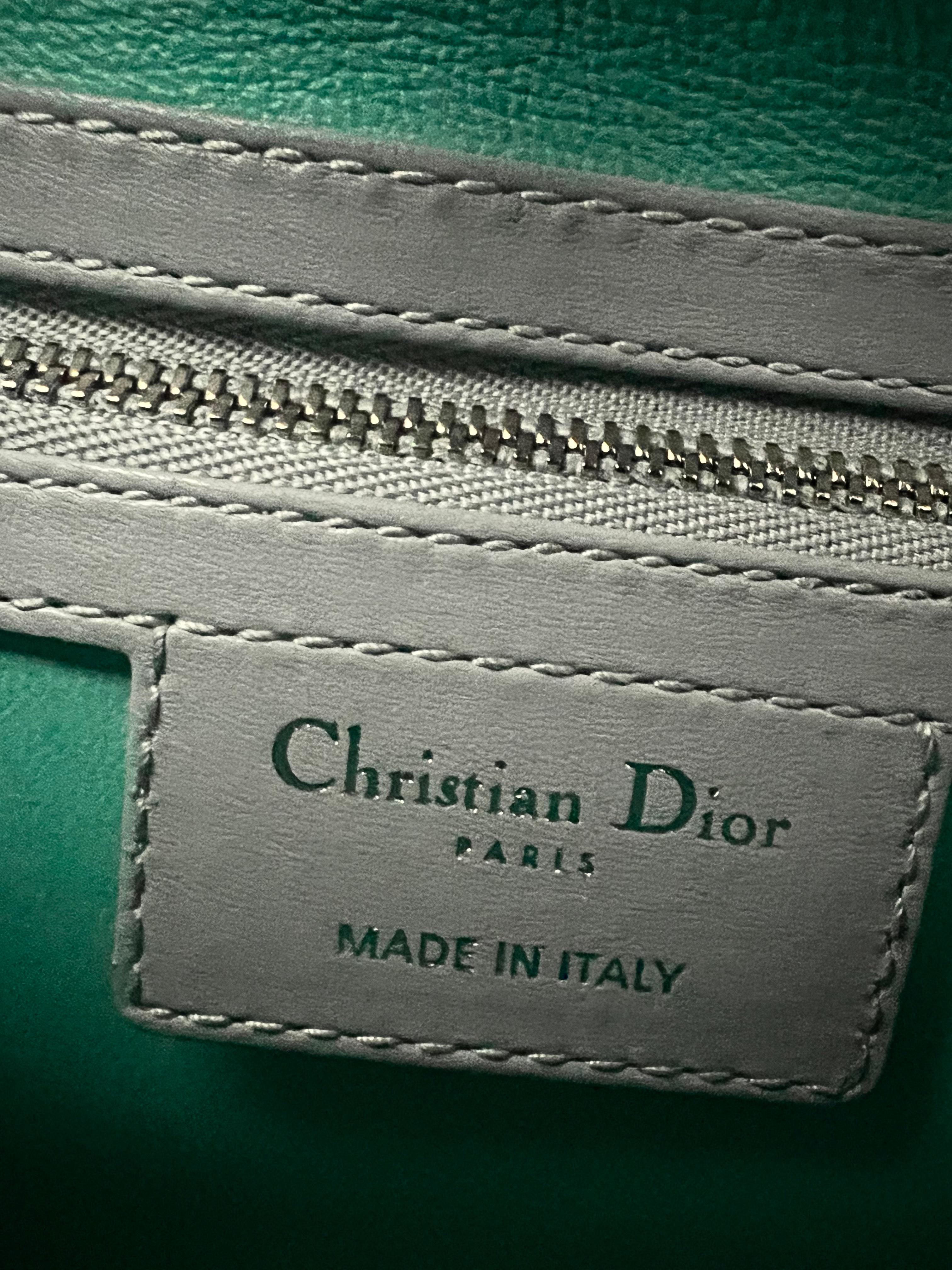 Christian Dior Bio- Color  Lady Dior Bag  1