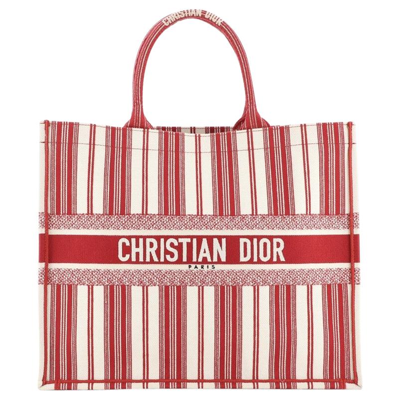 Christian Dior Book Tote Bayadere Stripe Embroidered Canvas