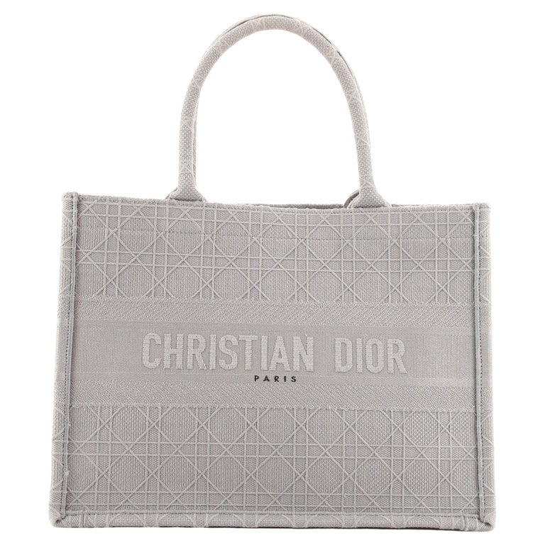 Christian Dior Book Tote Cannage Embroidered Canvas Small at 1stDibs