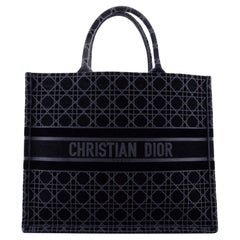 Christian Dior Book Tote Cannage Embroidered Velvet
