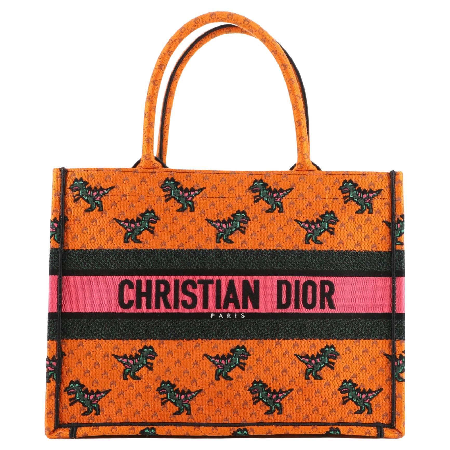 Christian Dior Book Tote Dragon and Fire Embroidered Canvas Small
