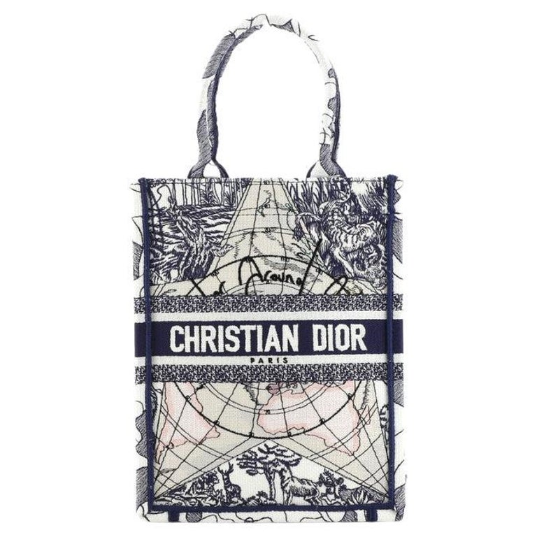 Christian Dior Book Tote Embroidered Canvas Vertical at 1stDibs | dior  vertical book tote