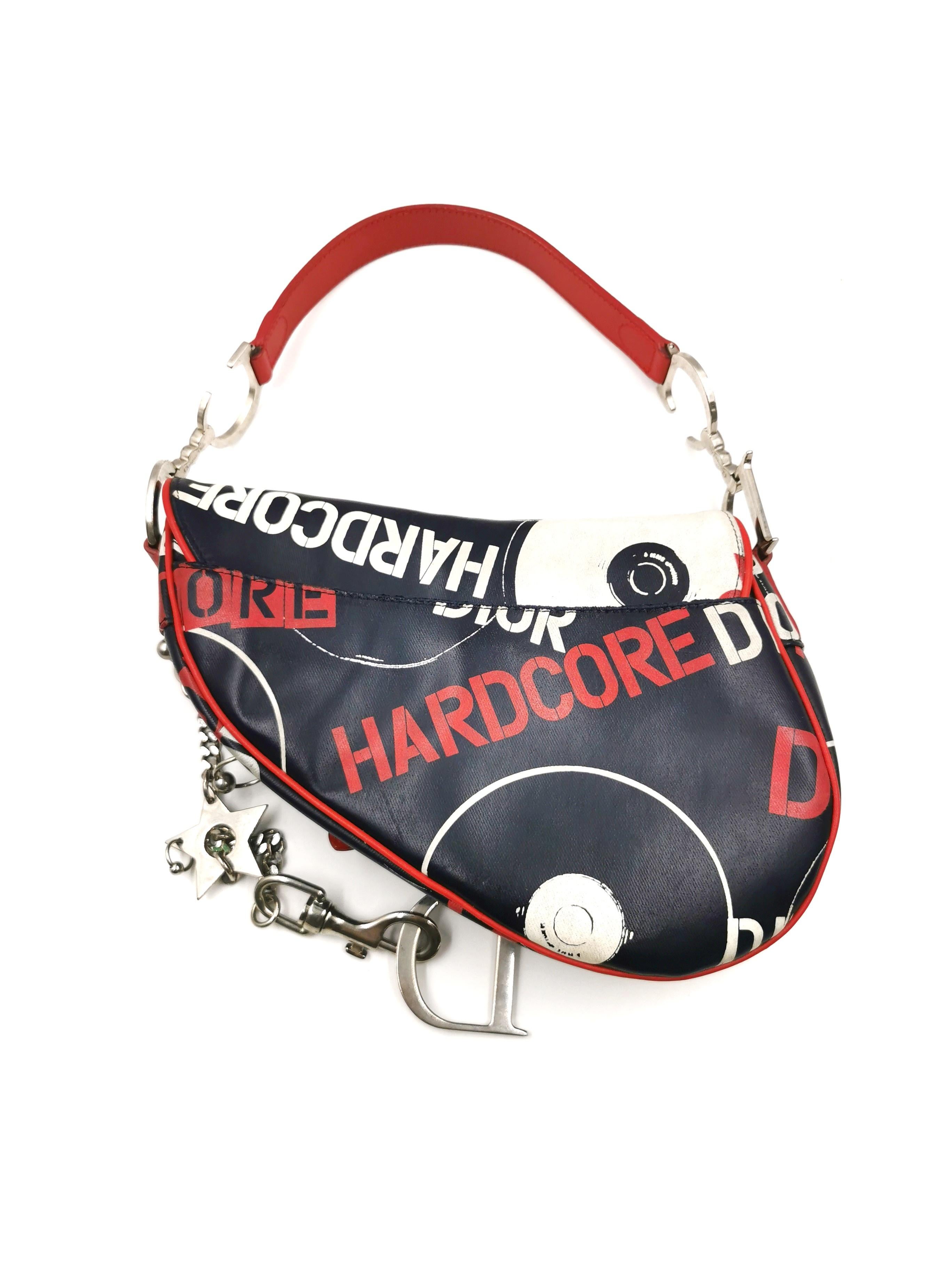 dior punk bag