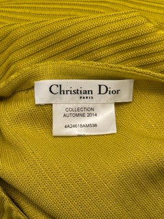 Christian Dior by RAF SIMONS F/W 2014 dress