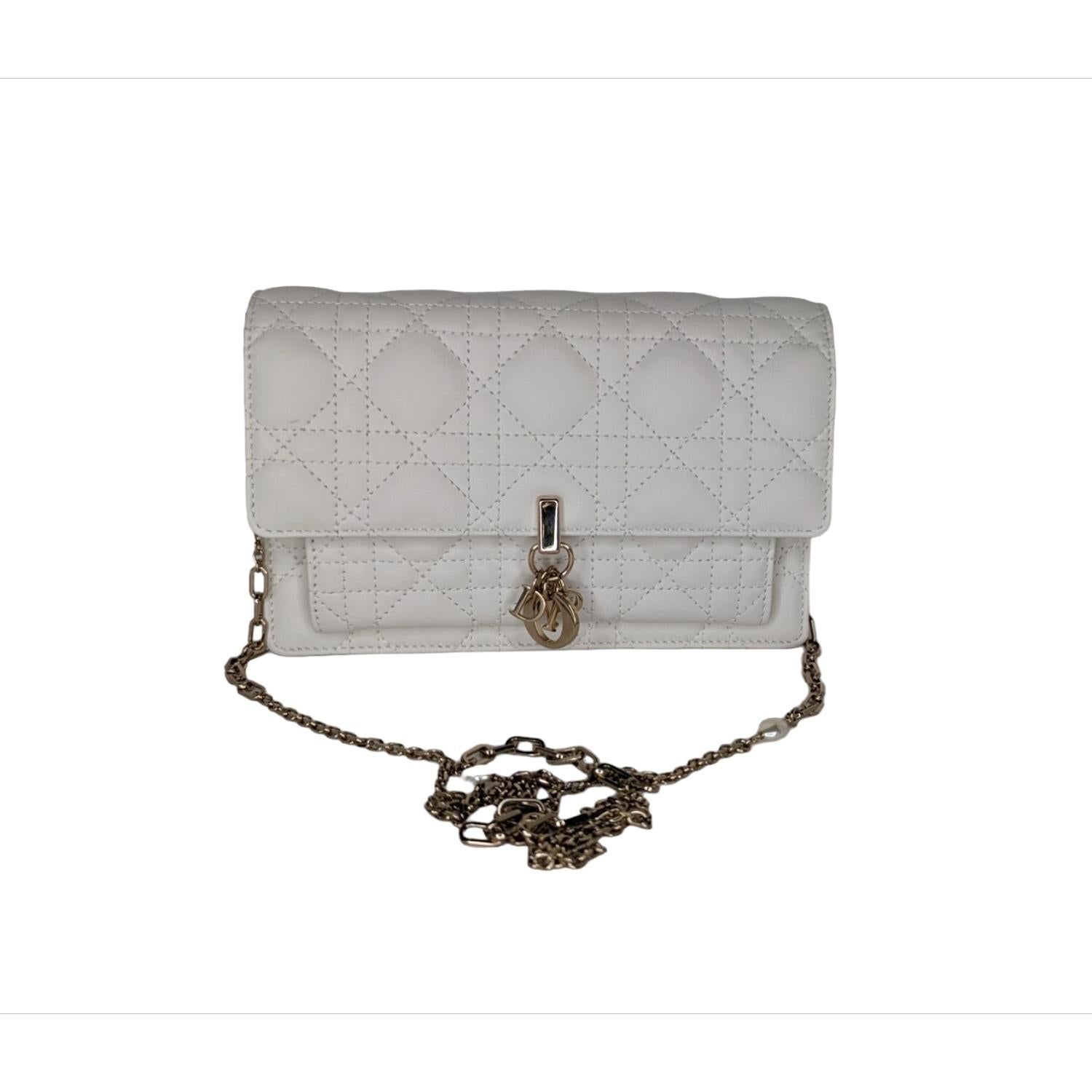 The Lady Dior pouch is a compact yet spacious companion. Crafted in latte lambskin with Cannage stitching, it is embellished with a 'D.I.O.R.' charm for a chic and timeless allure. Thanks to its numerous compartments, the functional accessory can