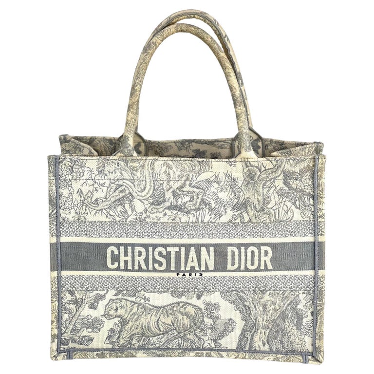 Christian Dior Cd Book Tote Bag Shoulder Canvas Blue Used Auction