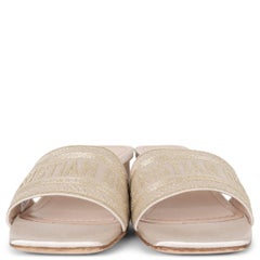 CHRISTIAN DIOR champagne DWAY EMBROIDERED SATIN MULE Sandals Shoes 38.5